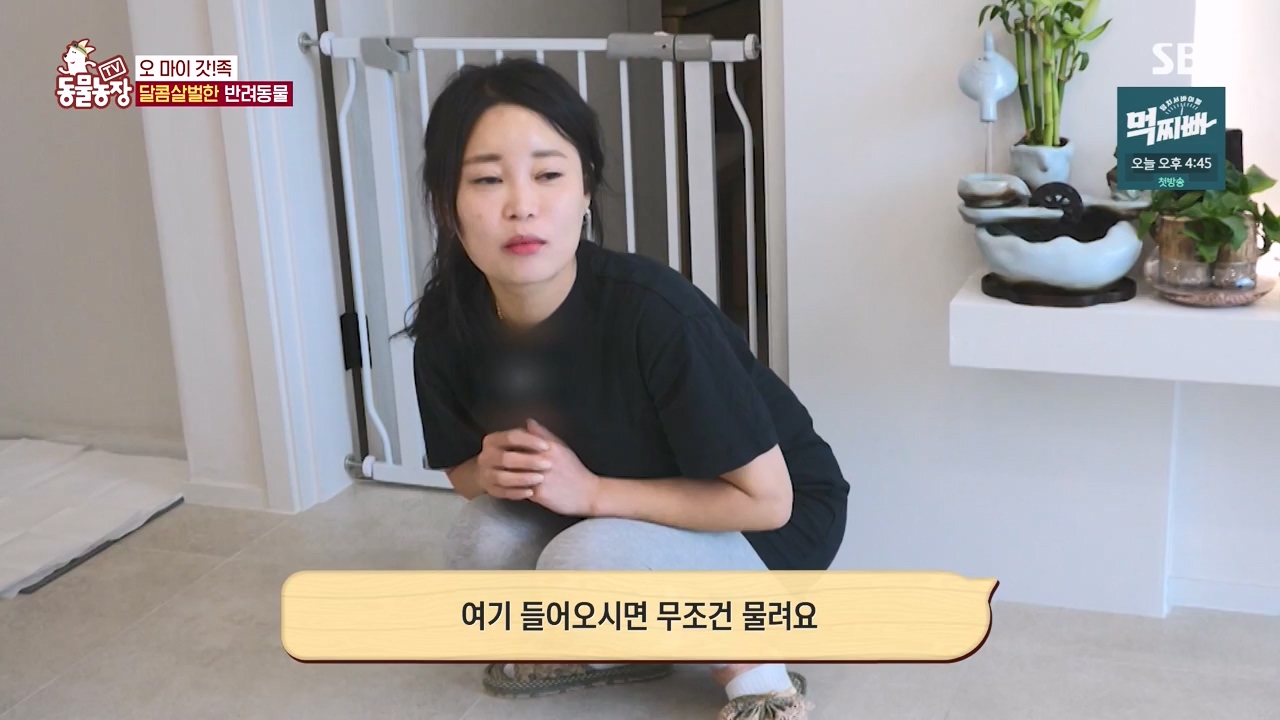 TV 동물농장.E1140.231009p-NEXT.mp4_20231008_174815.259.jpg