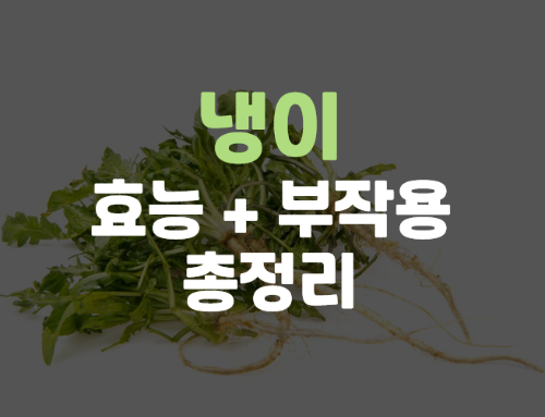  냉이 무침, 냉이전 등 냉이 효능 및 영양소, 부작용 총 정리
