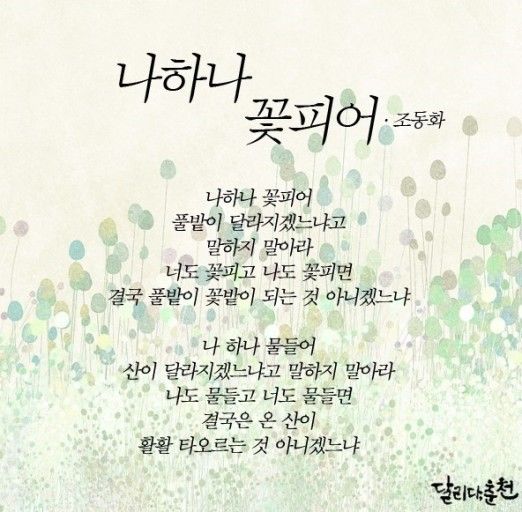 나하나 이미지