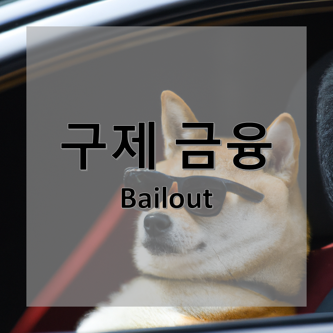 구제 금융(Bailout)