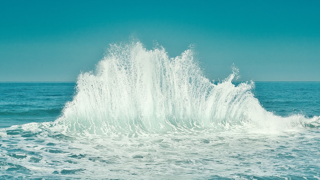 Wave