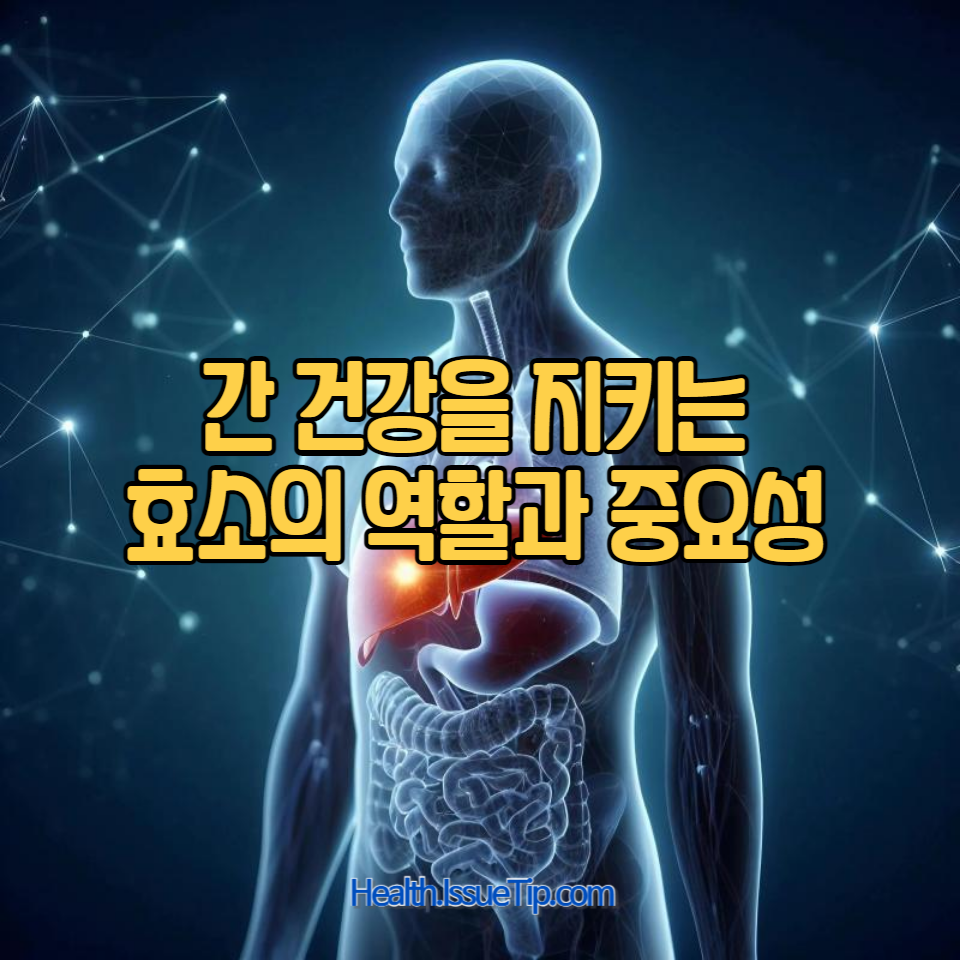 효소가 간수치에 미치는 영향