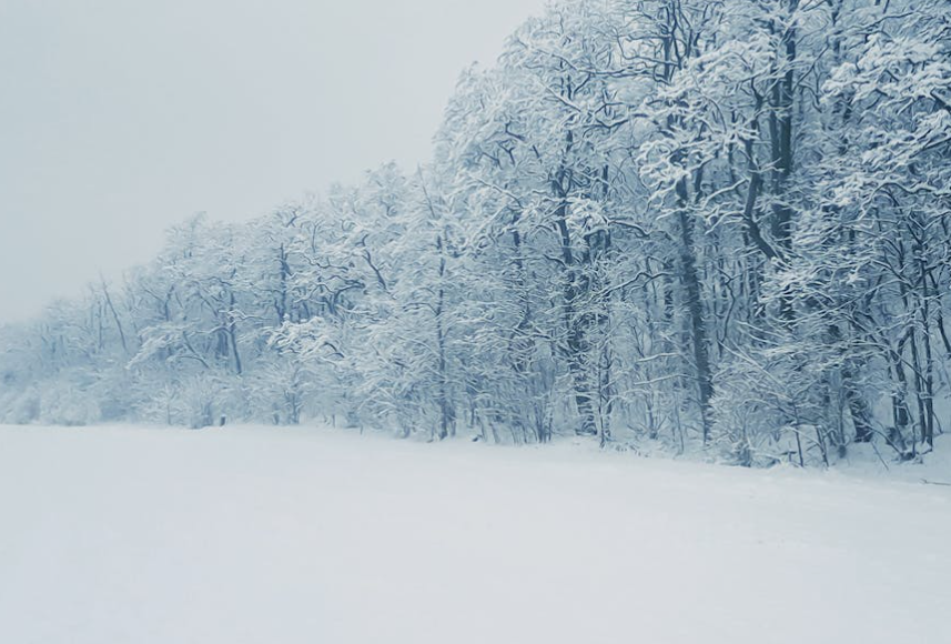  Winter Storm Warning Issued for Central and Southern Minnesota: Heavy Snow, Rain, and Freezing Rain Expected