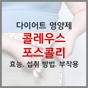  다이어트 영양제 콜리우스(콜레우스) 포스콜리 효능, 섭취량, 섭취 방법, 부작용