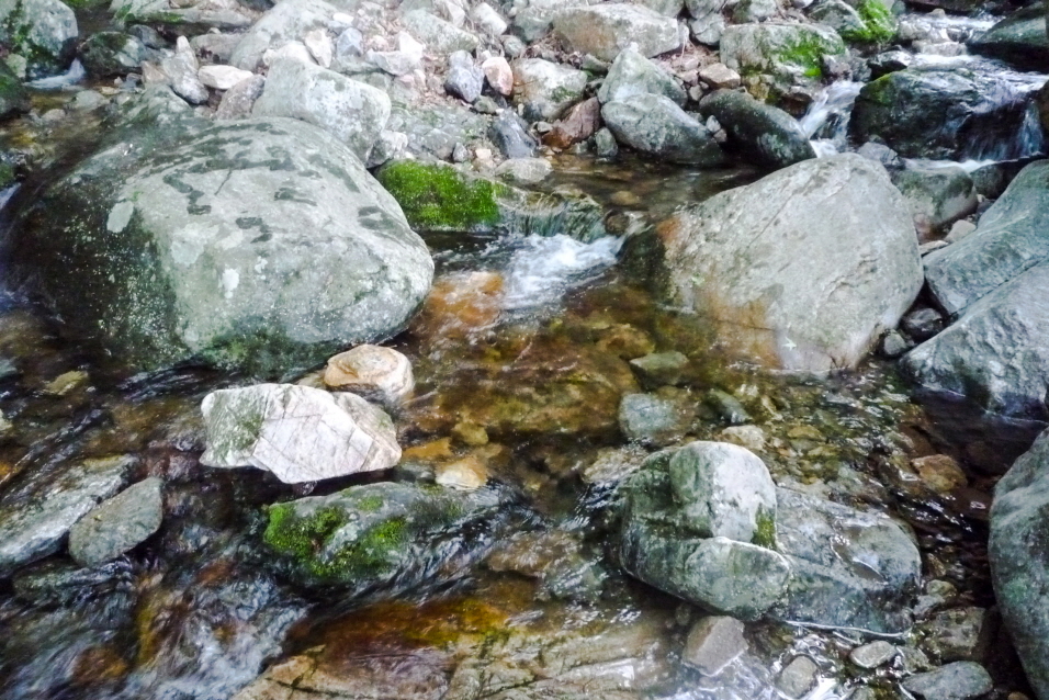 마늘로드 한국 명산 경기 양평 용문산 등산 mountain hiking