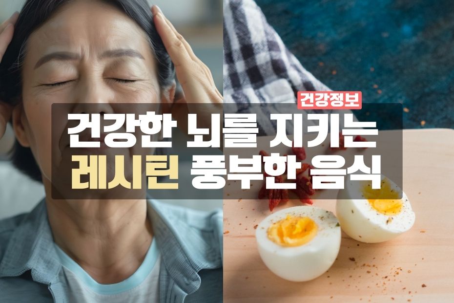 건강한 뇌를 지키는 레시틴 풍부한 음식