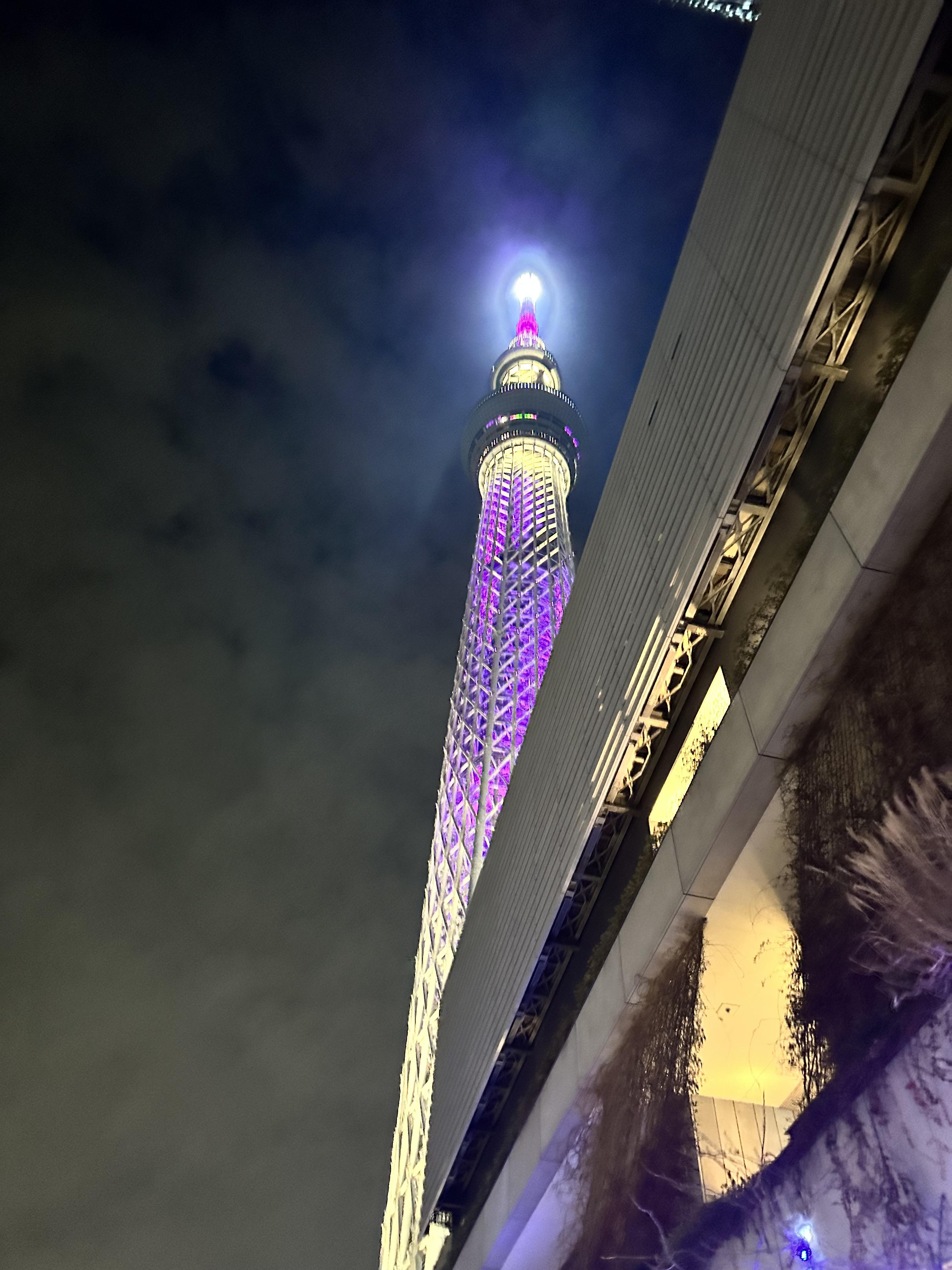 2. 도쿄 랜드마크 여행 13