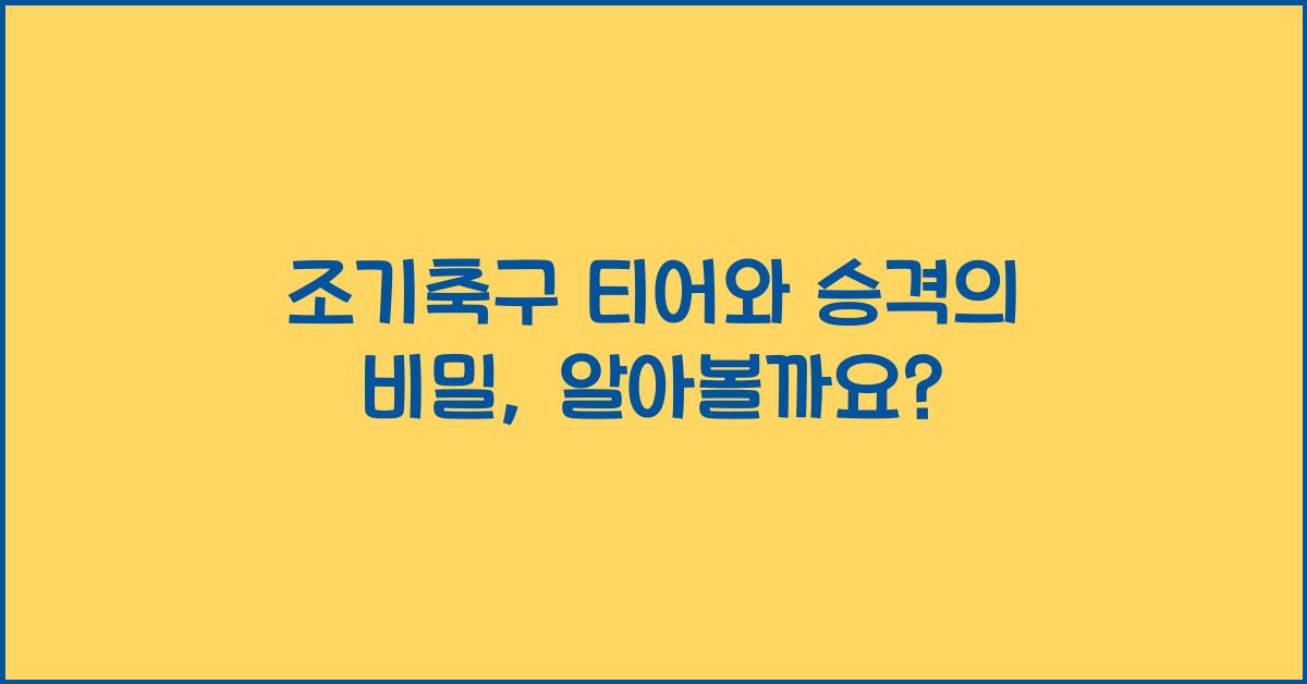 조기축구 티어