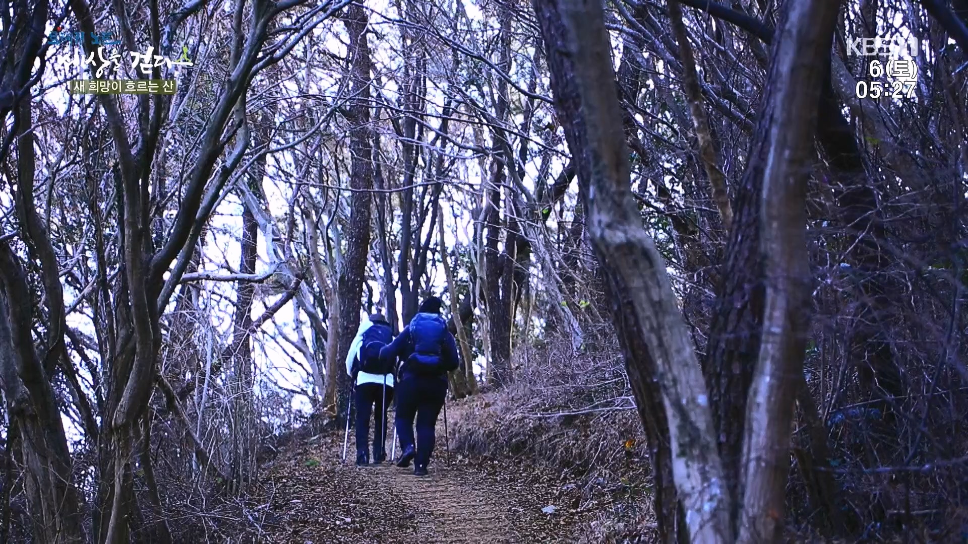트레킹노트 세상을 걷다.E302.240106p.H264-F1RST.mp4_20240712_211020.900.jpg