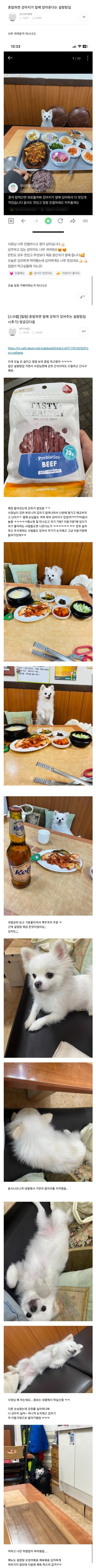 혼밥하면 앞에 강쥐가 있어주는 설렁탕집