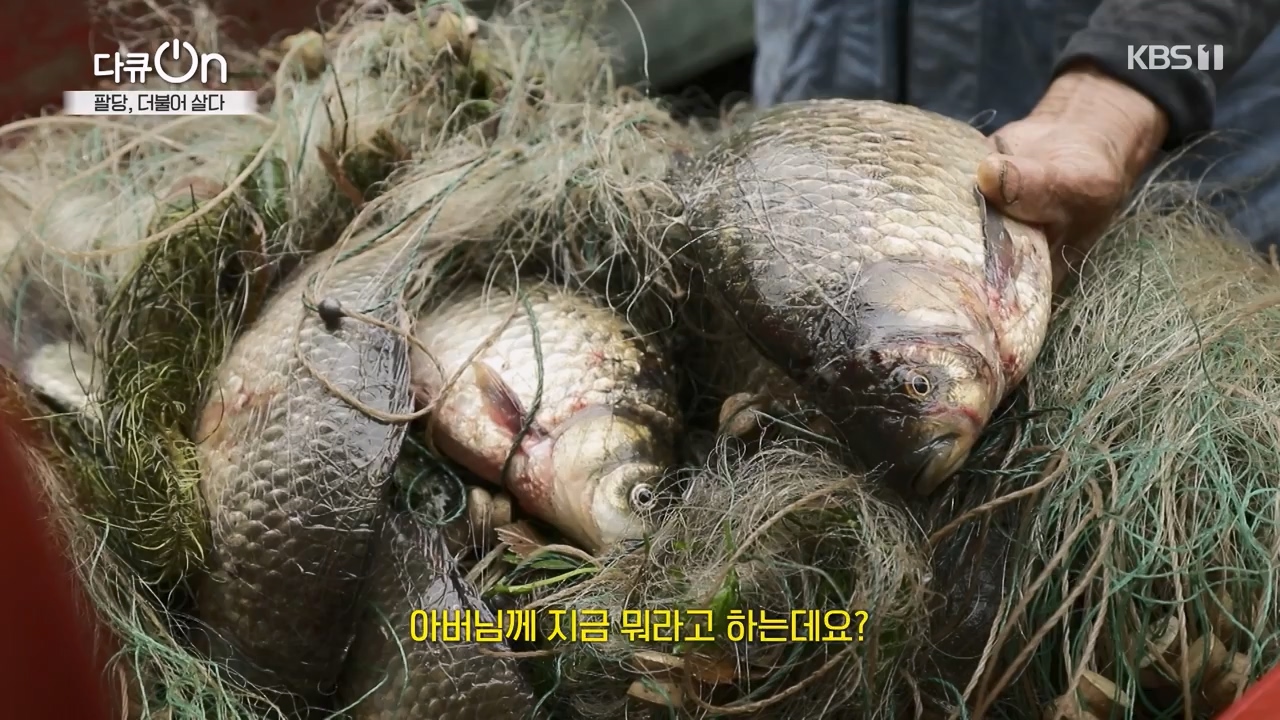다큐 온.E208.230730p-NEXT.mp4_20230802_202540.857.jpg