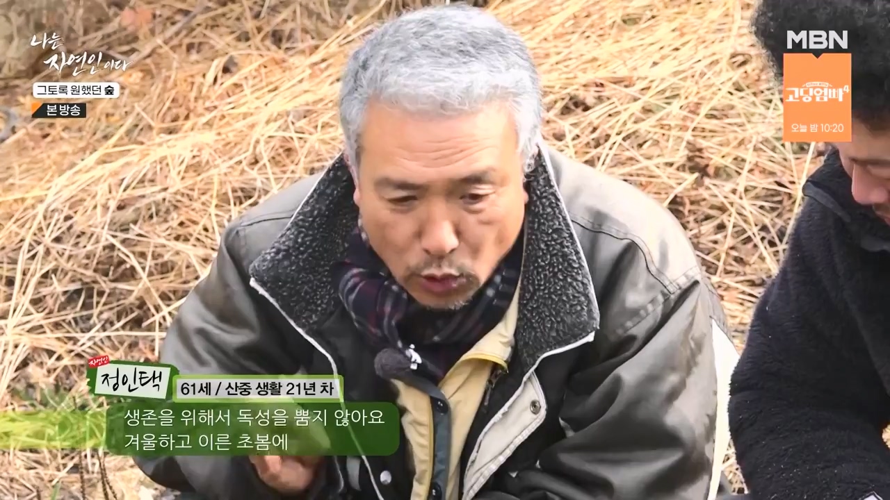 나는 자연인이다.E591.240132p-NEXT.mp4_20240201_195742.061.jpg