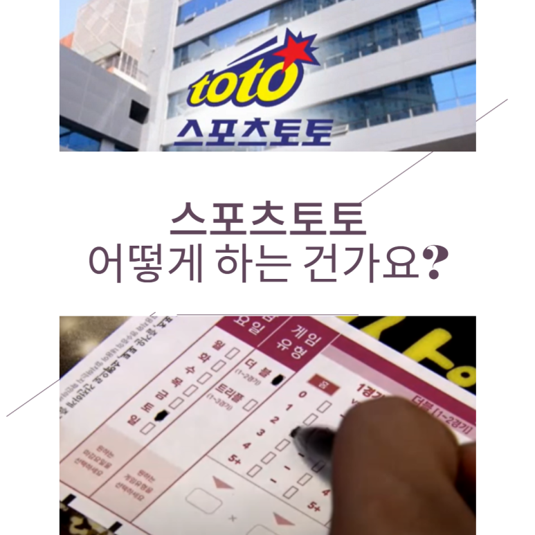 기본부터 스포츠토토 하는 컨셉까지 6