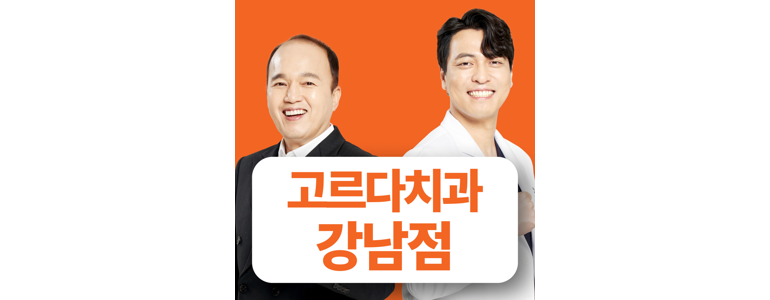 서울 강남구 네비게이션