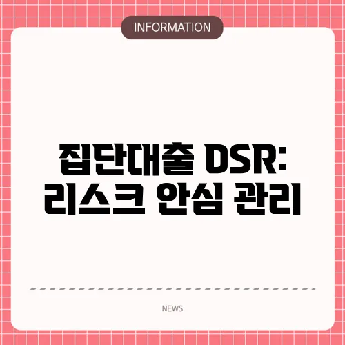 집단대출 DSR: 리스크 안심 관리