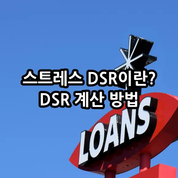 스트레스 DSR이란? DSR계산 방법