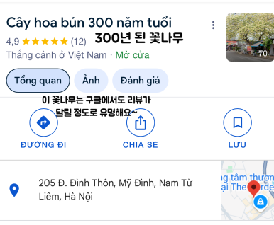 나무포토 이미지
