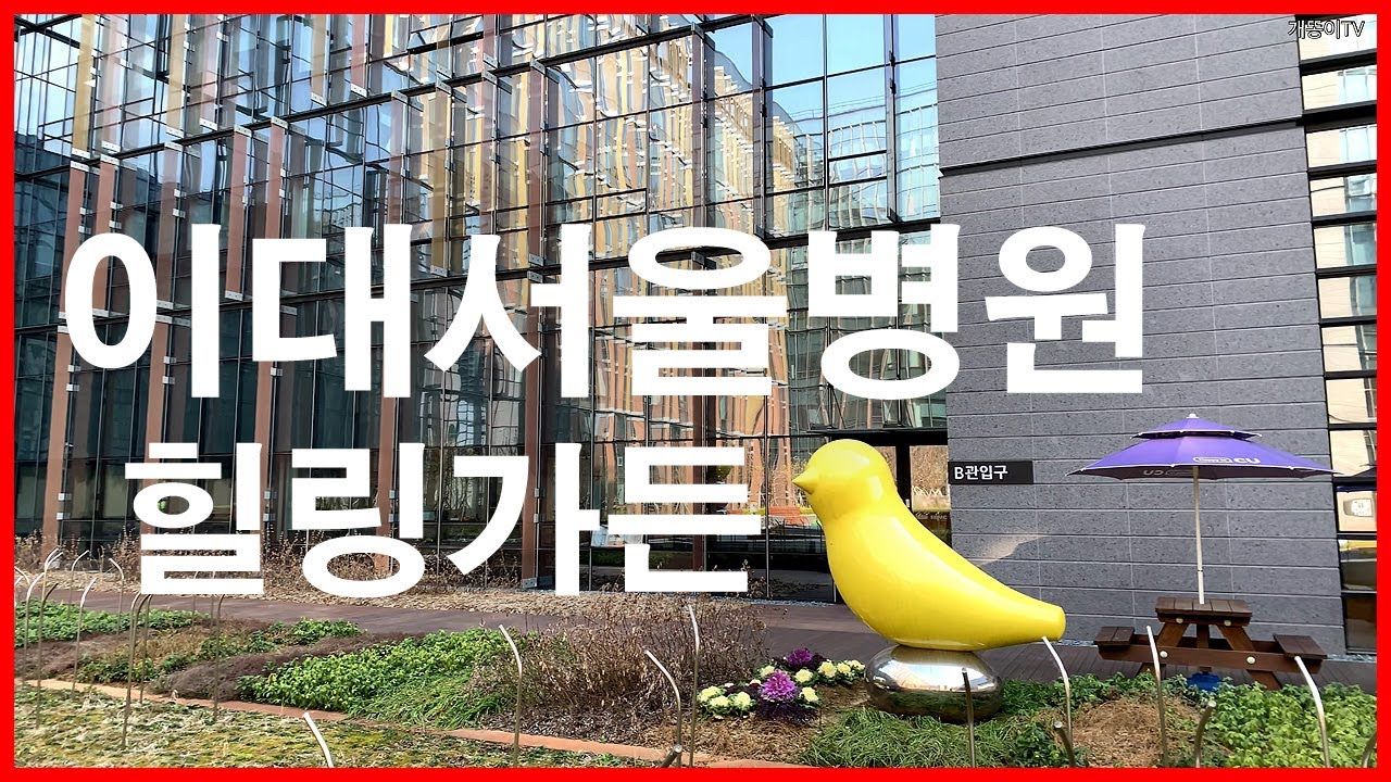  이대서울병원 4층 힐링가든 | 마곡동 | 마곡지구, 가양3단지, 스타벅스 마곡나루공원점