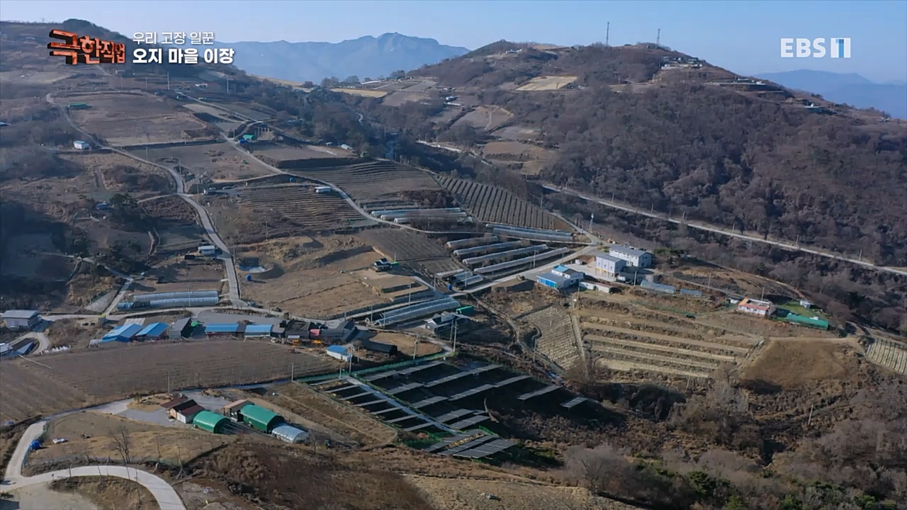 TV - 교육의 중심 EBS우리 고장 일꾼.mp4_20230213_195443.897.jpg