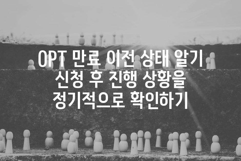 OPT 만료 이전 상태 알기 신청 후 진행 상황을 정기적으로 확인하기