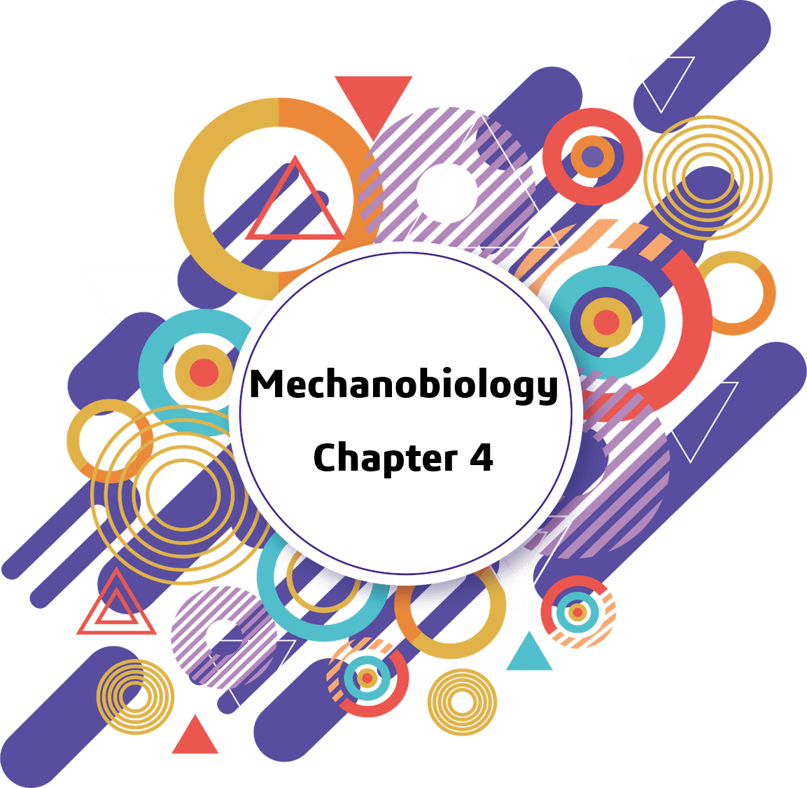 "Mechanobiology"는 어떤 학문일까요? (4)