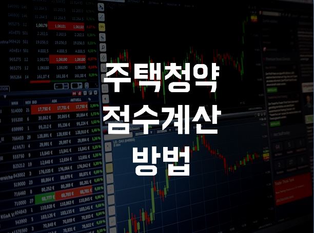 주택청약 점수계산 방법