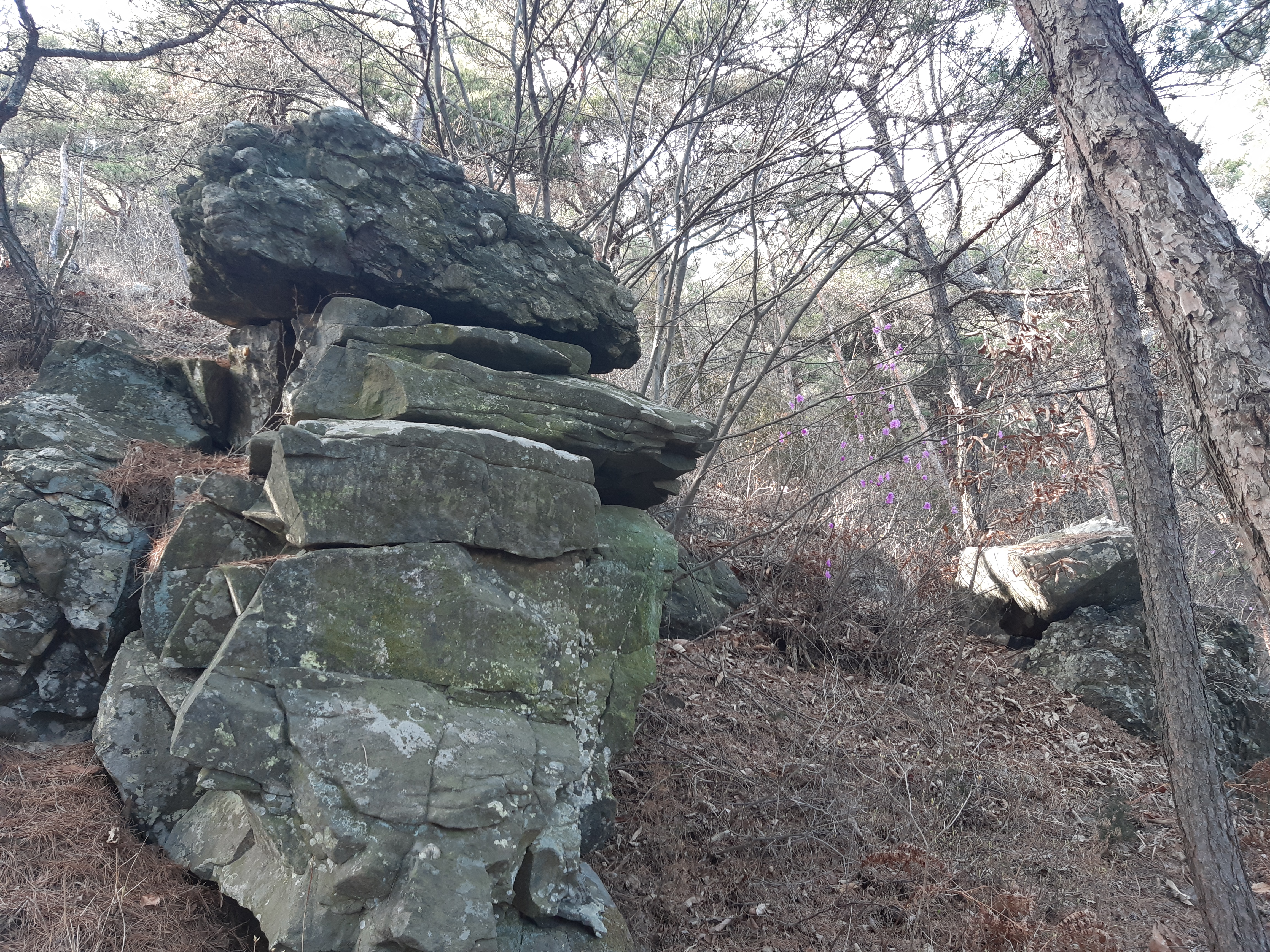 화락산 이미지