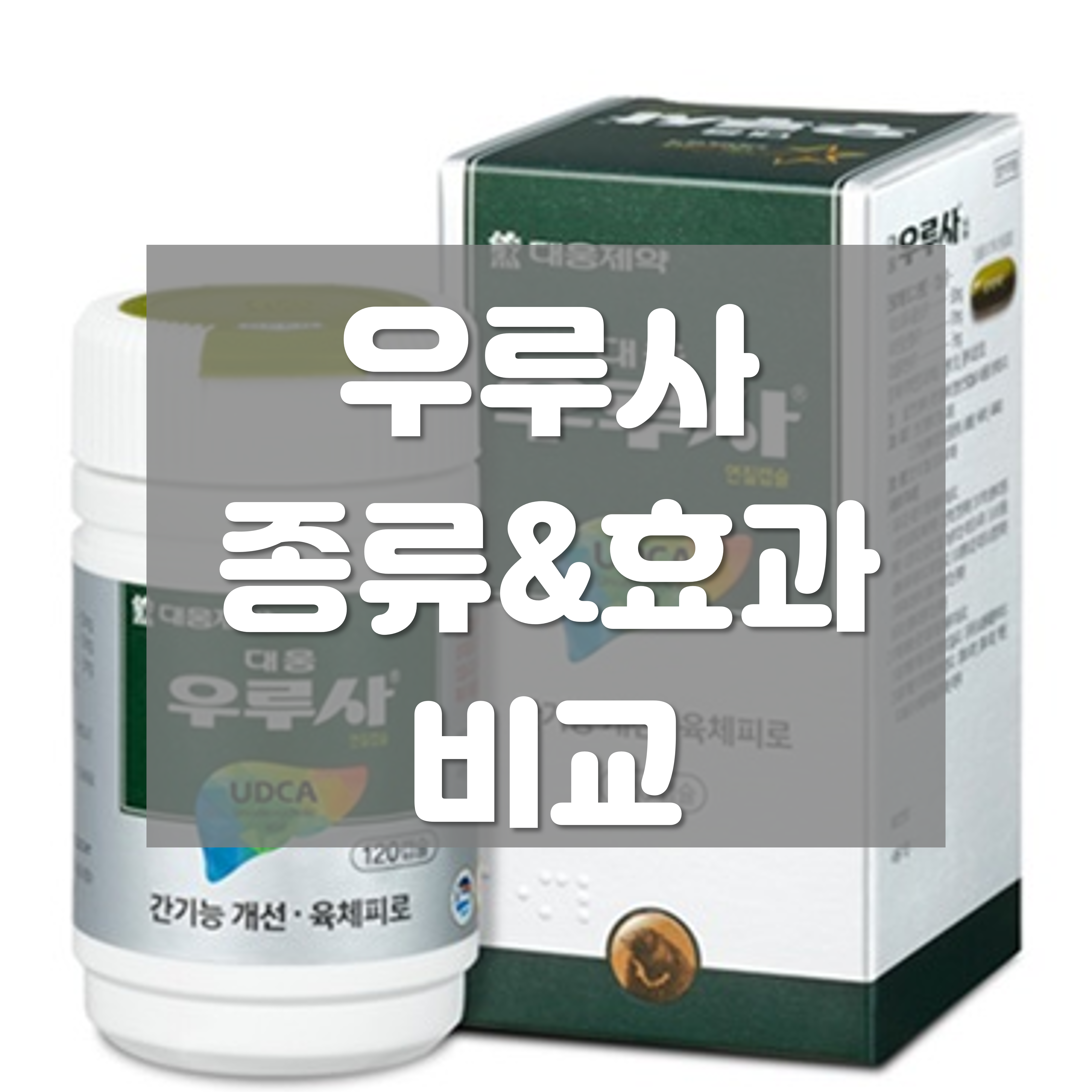  우루사 종류·효과 비교 총정리(복합·대웅 우루사 차이)