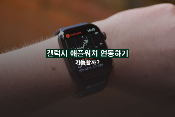 갤럭시 애플 워치 연동