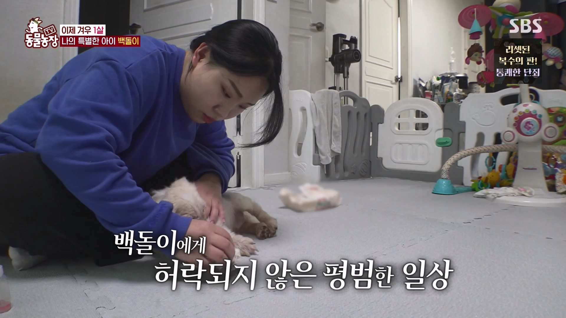 TV 동물농장.E1164.240324p-NEXT.mp4_20240324_172343.008.jpg