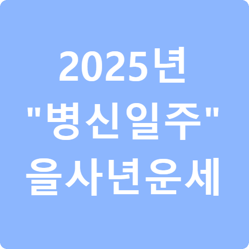 2025년 병신일주 을사년 운세