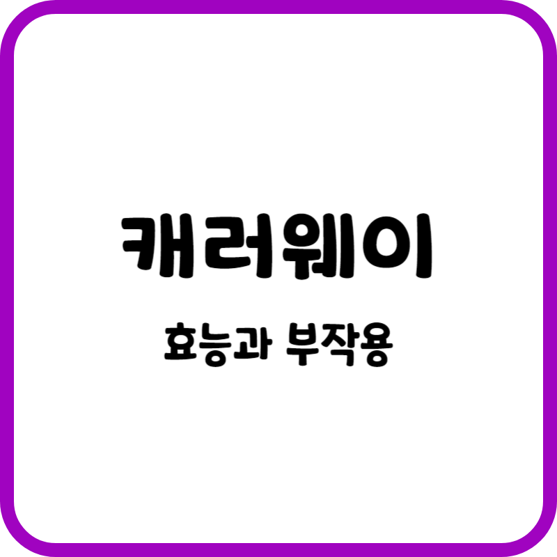 캐러웨이 효능과 부작용