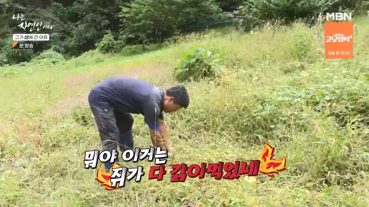 나는 자연인이다.E575.231012p-NEXT.mp4_20231012_201001.817.jpg