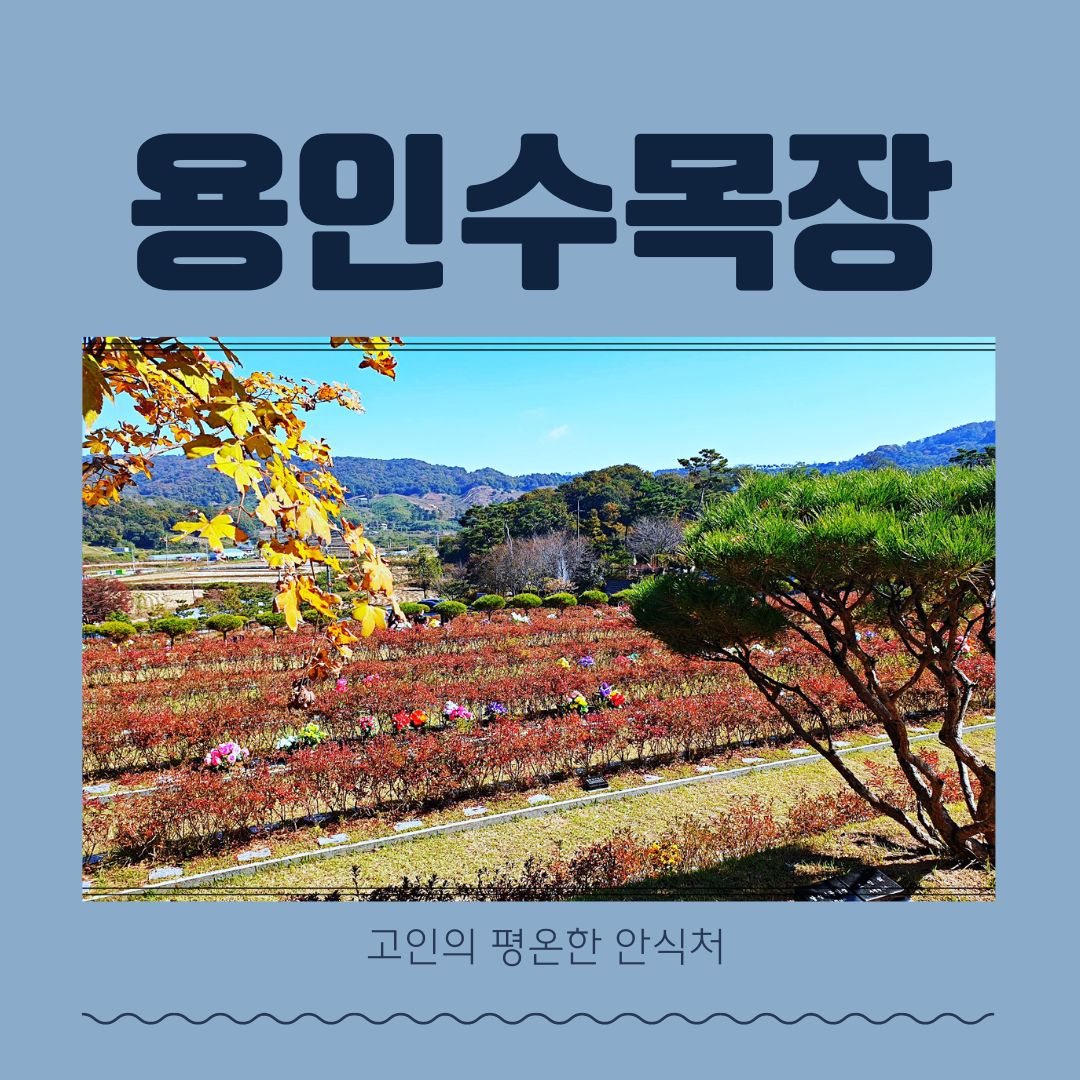 용인수목장 가격 다양함