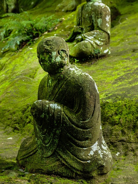 부탄의 국제 관계 8 : 새로운 협력과 지원의 관계 일본