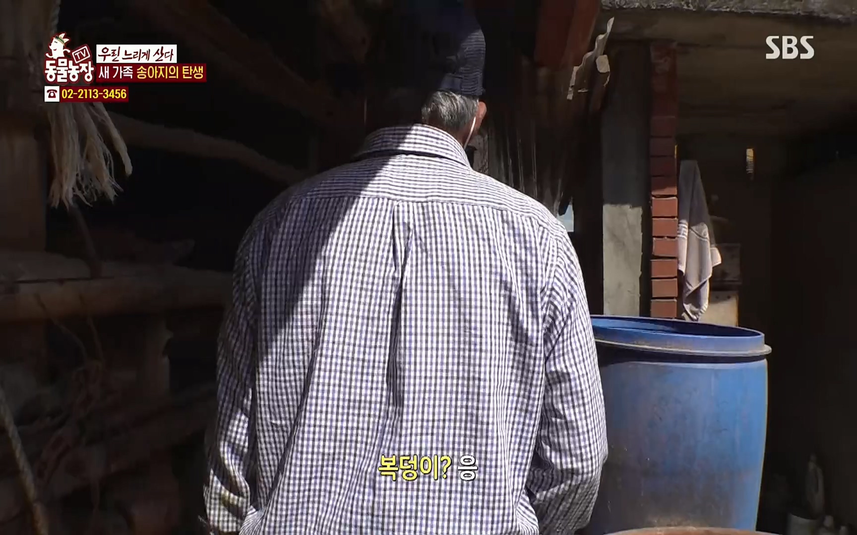TV 동물농장.E1067.220501p.H264-F1RST.mp4_20220501_183521.064.jpg