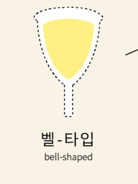 생리컵의 종류 (벨타입)