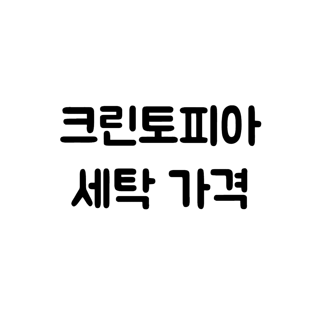  크린토피아 세탁 가격 알아보기(세탁서비스, 오염제거, 와이셔츠, 인형, 모자, 가죽, 명품 세탁)