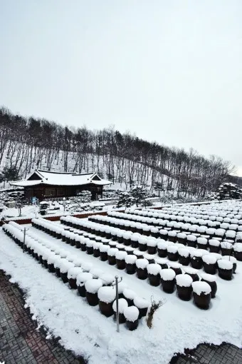세종 가볼만한곳 베스트10 여행 놀거리 맛집 알아보기_23
