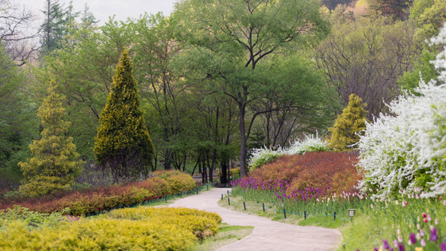 산책길