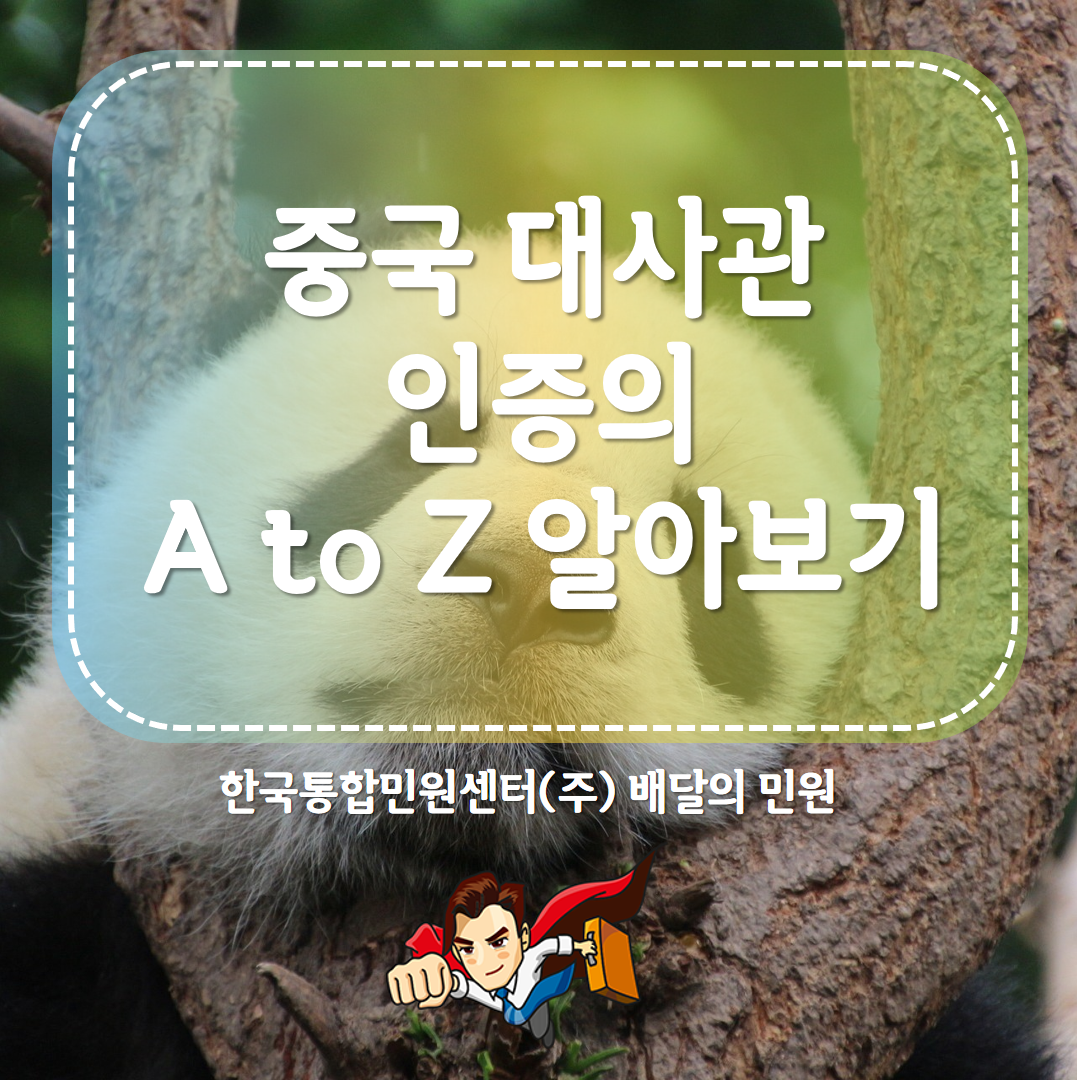  중국 대사관 인증의 모든 것 알아보기!