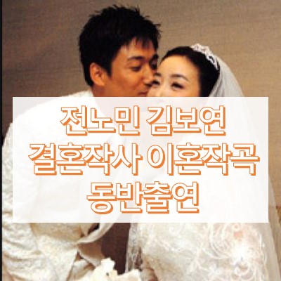 전노민 김보연 결혼과 이혼