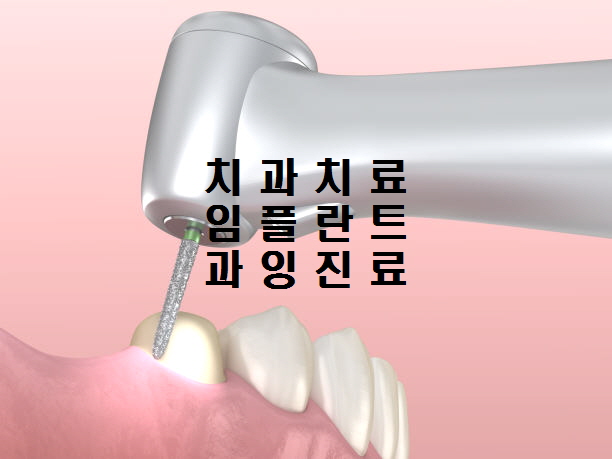  노다지네 잡학다식