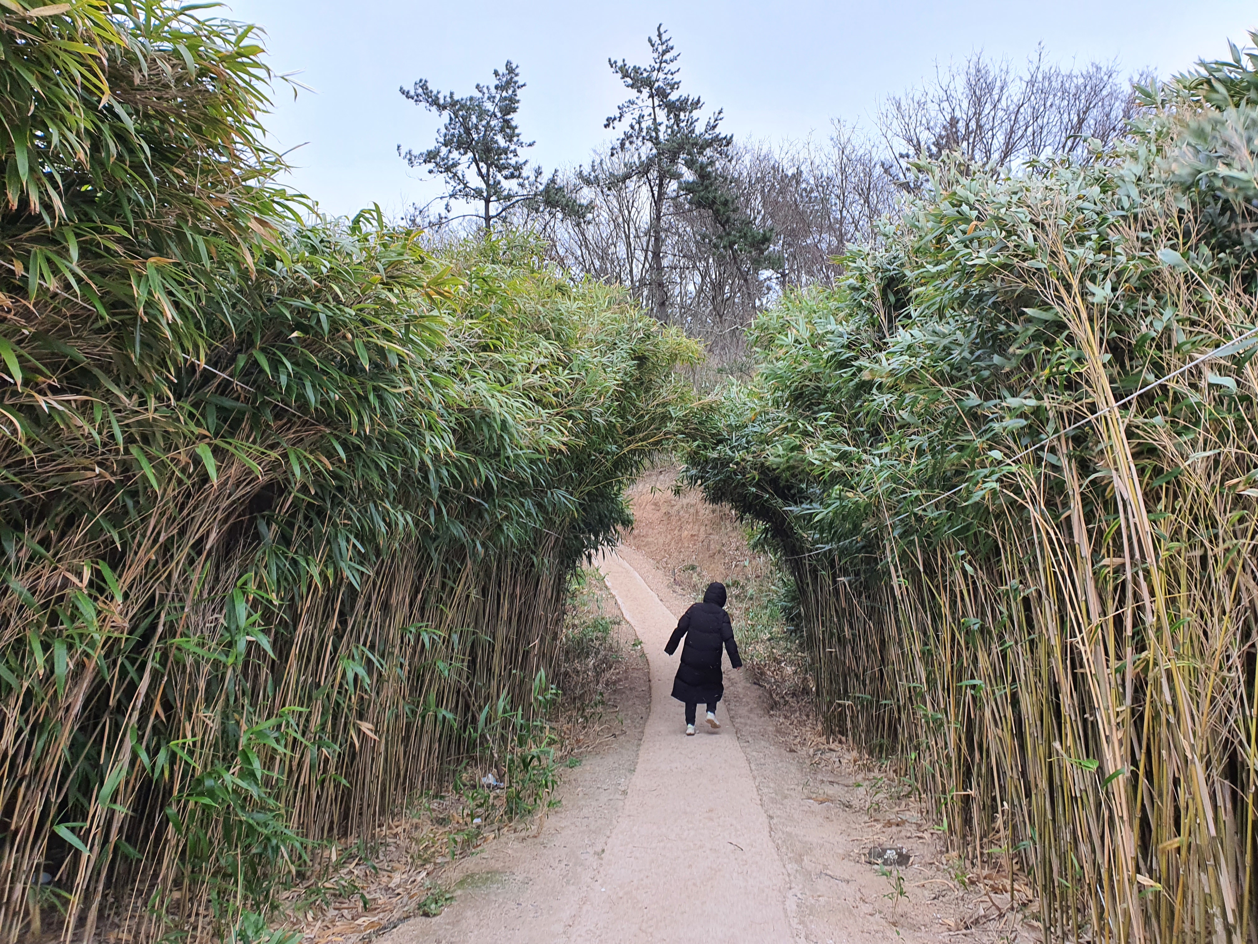 진도 쏠비치 호텔 리조트 가격 예약 수영장 할인 방법