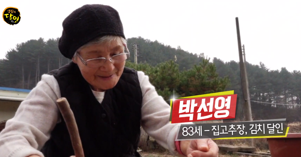  생활의 달인 가평 국보급 고추장 할머니 달인