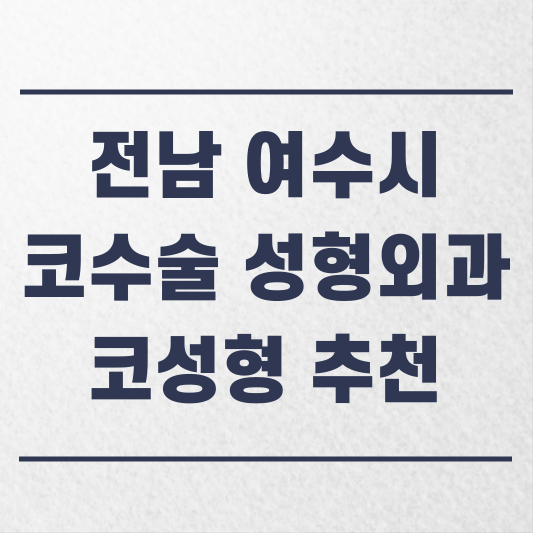 전남 여수시 코수술 성형외과 추천 코성형 잘하는 곳 가격 비용 금액 후기.png