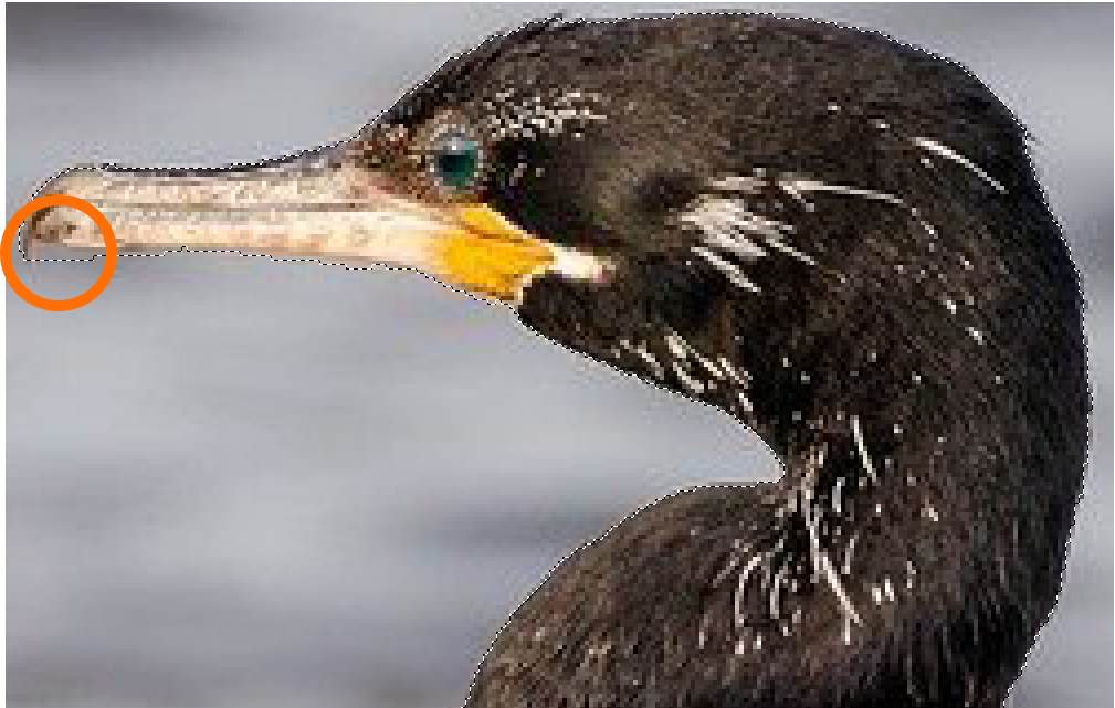 Object Selection Tool 특징2