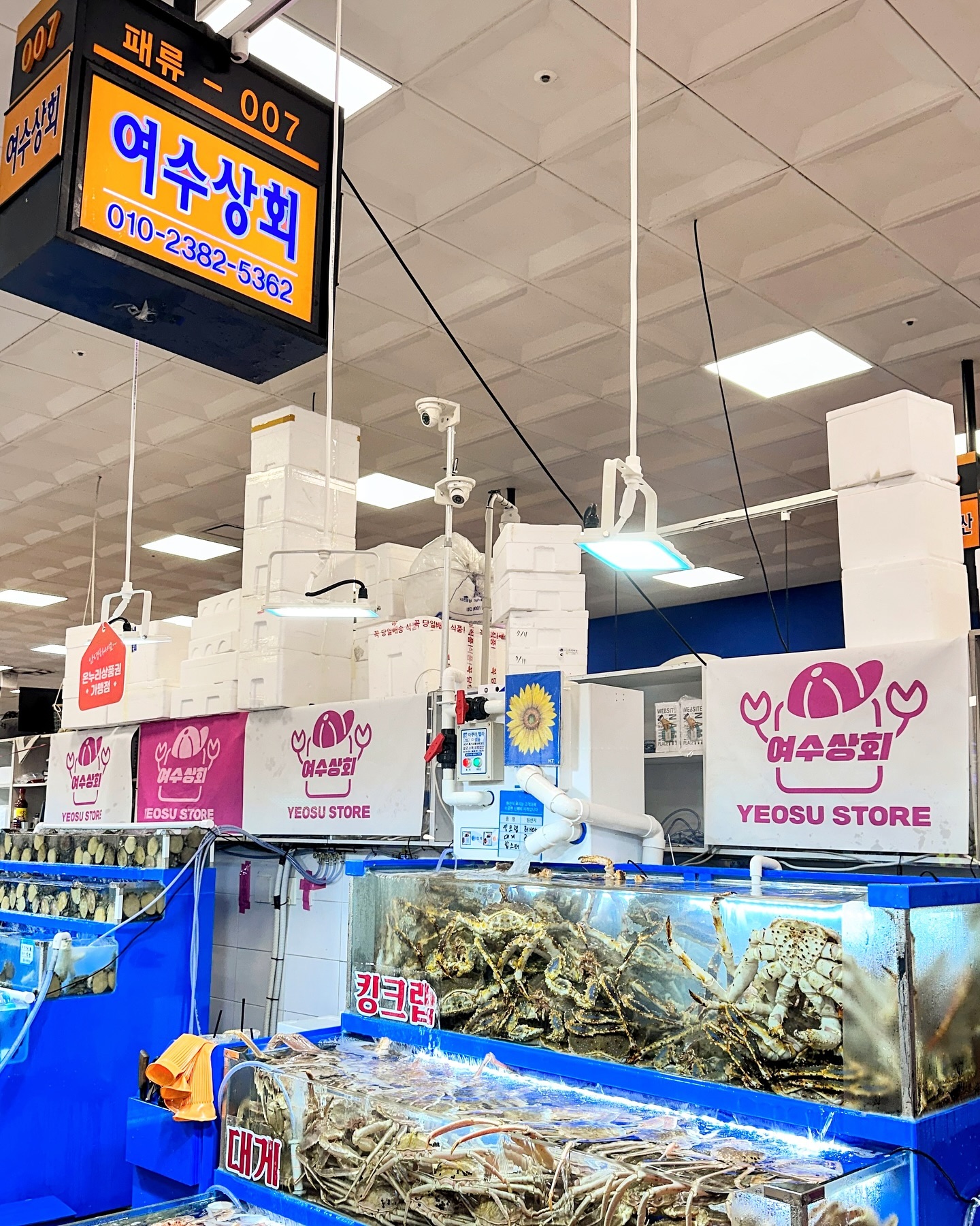 노량진 수산시장