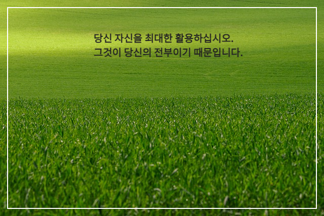 초록색 잔디 풍경