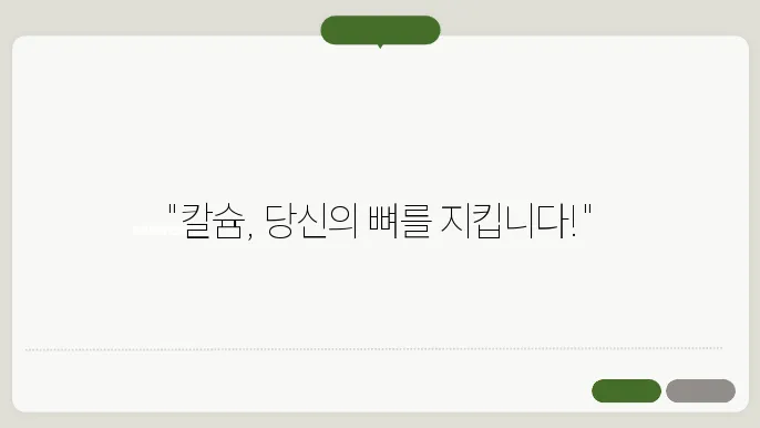 칼슘 섭취 가이드